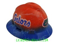floridagators.jpg