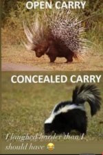 OpenConcealed.jpg