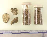 GoldNuggets-1.jpg