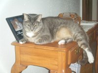 DSCF2265.JPG