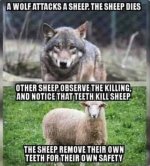 Anti-gun logic.jpg