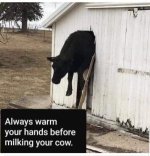 nT_ih3b4k2n5ivhpjkjic8tn5r3_300.jpg