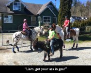LIam, get your ass in gear.JPG