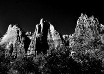 _DSC0204.jpg