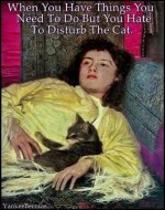 Not disturbing the cat.jpeg
