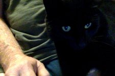 Watching cat vids together.jpg