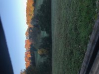 IMG_3137.jpg
