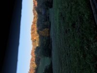 IMG_3139.jpg
