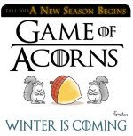 Game of Acorns.jpg