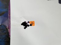 BAE1C969-A17D-44EB-B0EB-BF7BB17730E0.jpg