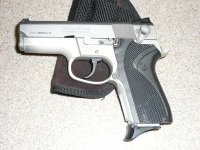 P1020332 S&W 6906.jpg
