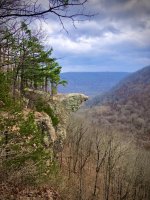IMG_E7783.jpg