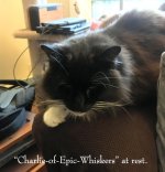 Charlie_9364.jpg