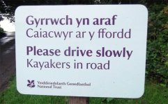 Kayakers on road.jpg