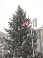 IMG_0049.jpg