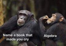 Algebra joke.jpg