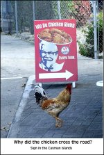 Chicken crossing.jpg