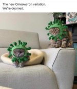 Omeowcron variant.jpg
