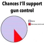 gun control.jpeg