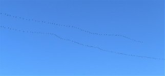 IMG_0910 (2).jpg