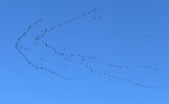 IMG_0907 (2).jpg