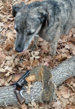 Kit gun squirrel 4.jpg