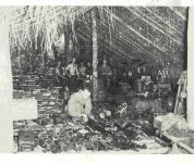 cleanjunglehut.jpg