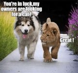 LION.jpg