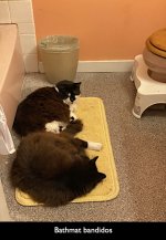 Bathmat bandidos.jpeg