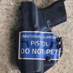pet.jpg