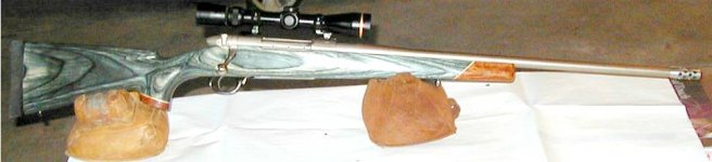 WBY340.JPG