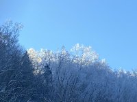 667114DA-7F2B-44DA-BD58-F46E540A5FAF.jpg