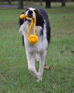 2021-09-29 Daisy 06.jpg