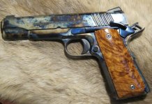1911thuya1.JPG