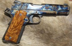 1911thuya2.JPG
