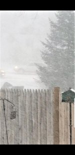 thumbnail (4).jpg