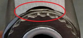 Muzzle-2.jpg