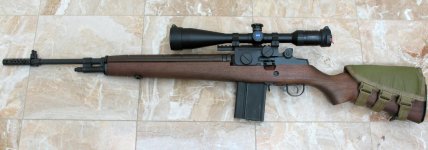 SA_M1A_NM.jpg