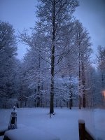 D3DF645D-FB5D-44B1-B1DF-71CC56CBB83A.jpg