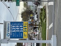 IMG_3431.jpg