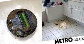 poo-Roomba.jpg