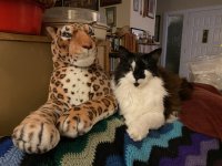 Izzie and his big friend.jpeg