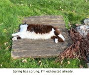 It's spring!.jpg