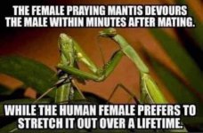 3D345D6E-3598-4317-A00F-F3372C8AF9E3.jpeg