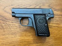CZ .25 cal..jpg
