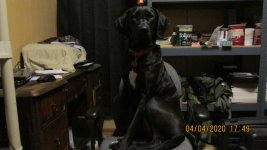 IMG_0712.jpg