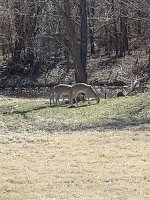 20210302_120839.jpg
