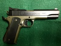 Argentine Sistema Od Green and Black 45 ACP.jpg