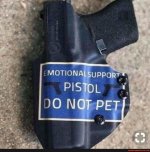 emotional support pistol.jpg