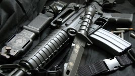 S&W M&P 15 4.jpg